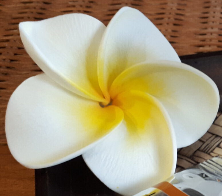 Zum Wunschgewicht mit Logi, Bewegung und Achtsamkeit